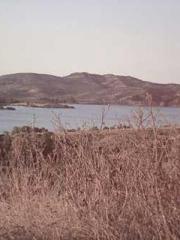 Shocking! This prota