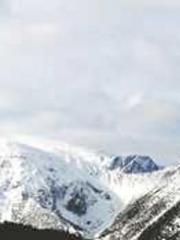 The Exclusive Daught The Exclusive Daught