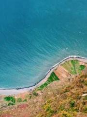 lt;lt;lt;Lin Feng Li