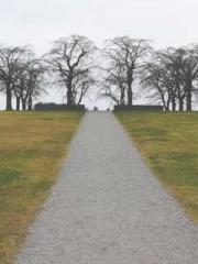 lt;Gingerly, Shen Qi