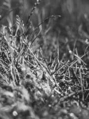 Girlfriends  lt;/pgt