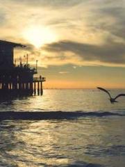 One Night of Indulge