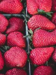 Get out of here! Get out of here!