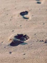 One Pregnancy, Two B