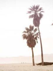 Double Blessing: CEO