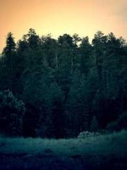 lt;The Dragon Discar