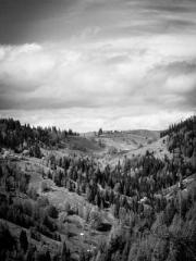 Shen Ning Ran Bo Jin