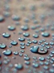 Shocking! This prota