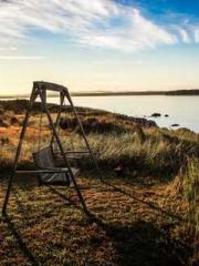 Shocking! This prota