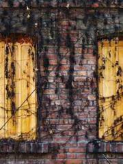 The Return of the Go