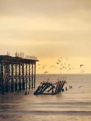 lt;Marry at first si