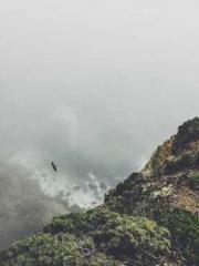 The Rough Man Hunter The Rough Man Hunter