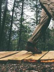 A Lifetime of Captiv