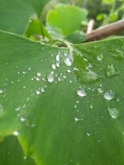 A Spicy Wife from th