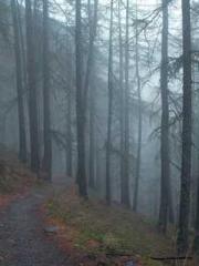 Wine, sex, money and