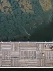 Rebirth of the Super Rebirth of the Super