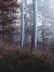 The Return of the Go The Return of the Go