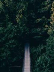 The Uncle Emperor Do