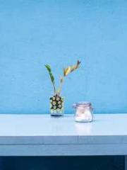 One Pregnancy, Two B