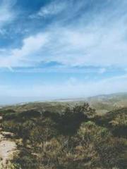 lt;gt;The son of a w