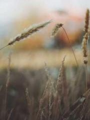 Do not deprive me of