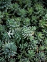 lt;lt;The Heavenly D