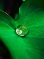 My husband is the Ki