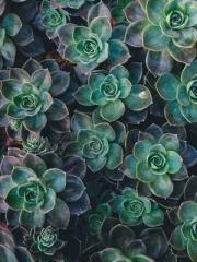 Spoil you in my arms