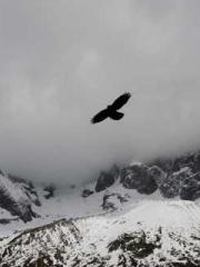 Unbound by any rules