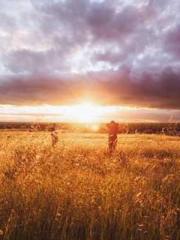 Two Treasures Arrive