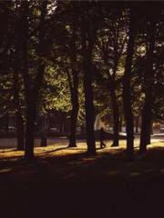 Lu Wanwan Li Jingche