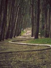 The Ugly Womanapos;s