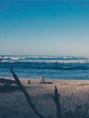 Rebirth as a Court A Rebirth as a Court A