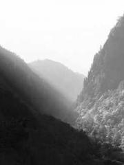 Reborn in the Apocal