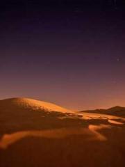 Become a big shot in Become a big shot in