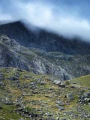 Meng Jinyu Gu Jingxi