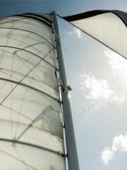 Ling Hao Qin Yuxin R