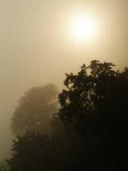 Lin Feng Lin Yun Yao