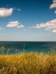 lt;lt;The Trash Husb