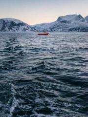 The Apothecaryapos;s