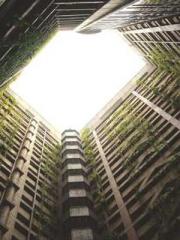 Unbound by any rules Unbound by any rules