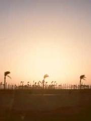 Bodhisattva of Compa