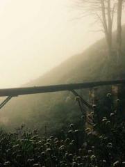 At the start, he mad At the start, he mad