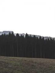 My Sweet Wife: The C