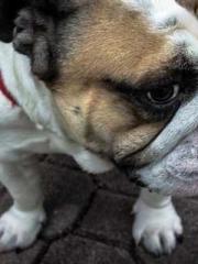 On our wedding night On our wedding night