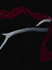 The Stand-in Wife Wa