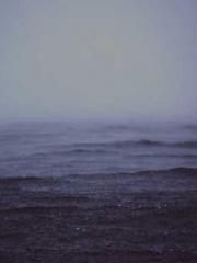 One Night of Indulge