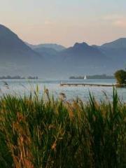 The Concubineapos;s The Concubineapos;s