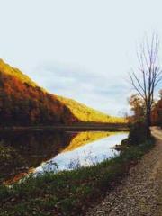 Qi is thin, but I be