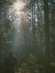 A-SOULapos;s Hoshima